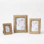 FEATHER_Long Feather Photo Frame 5x7 / Gold