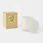 https://s3-ap-southeast-2.amazonaws.com/fusionfactory.commerceconnect.bbnt.production/pim_media/000/200/904/B_B_S25-26_Lumiere-Candle-385g_Sandalwood-_-Vanilla_26478607_SI.jpg?1757634302