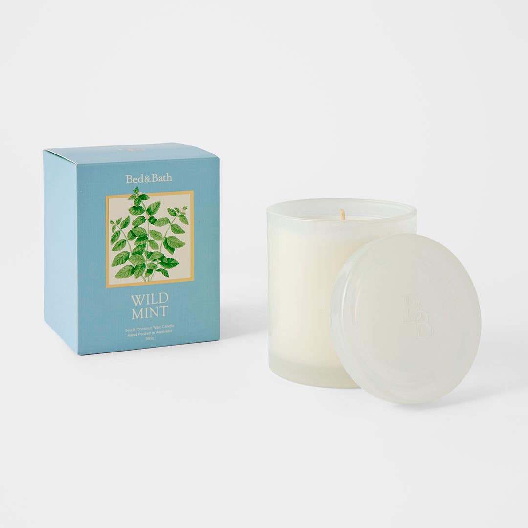 https://s3-ap-southeast-2.amazonaws.com/fusionfactory.commerceconnect.bbnt.production/pim_media/000/200/913/B_B_S25-26_Lumiere-Candle-385g_Wild-Mint_26478606_SI.jpg?1757634401