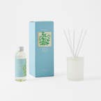 https://s3-ap-southeast-2.amazonaws.com/fusionfactory.commerceconnect.bbnt.production/pim_media/000/200/932/B_B_S25-26_Lumiere-Diffuser-150ml_Wild-Mint_26478706_SI.jpg?1757635791