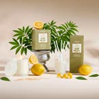 https://s3-ap-southeast-2.amazonaws.com/fusionfactory.commerceconnect.bbnt.production/pim_media/000/202/906/B_B_S25-26_Lumiere_Candle-Diffuser_S25-26_Lemon_Verbena_26478_LS_SI.jpg?1760417718