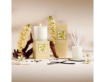 https://s3-ap-southeast-2.amazonaws.com/fusionfactory.commerceconnect.bbnt.production/pim_media/000/202/912/B_B_S25-26_Lumiere_Candle-Diffuser_Sandalwood___Vanilla_26478_LS_SI.jpg?1760418051