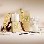 https://s3-ap-southeast-2.amazonaws.com/fusionfactory.commerceconnect.bbnt.production/pim_media/000/202/912/B_B_S25-26_Lumiere_Candle-Diffuser_Sandalwood___Vanilla_26478_LS_SI.jpg?1760418051