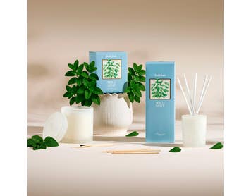 https://s3-ap-southeast-2.amazonaws.com/fusionfactory.commerceconnect.bbnt.production/pim_media/000/202/992/B_B_S25-26_Lumiere_Candle-Diffuser_Wild_Mint_26478_LS_SI.jpg?1760504526