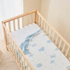 https://s3-ap-southeast-2.amazonaws.com/fusionfactory.commerceconnect.bbnt.production/pim_media/000/193/487/Baby_Finch_W25_BOP_Sun-Daisy_Blanket_RV_SI.jpg?1744326677