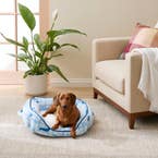 https://s3-ap-southeast-2.amazonaws.com/fusionfactory.commerceconnect.bbnt.production/pim_media/000/174/896/E-Comm_S24-25_Summer_LS_Studio-Pet_Beds-Small_Charlie_Blue_V1_SI.jpg?1730255409