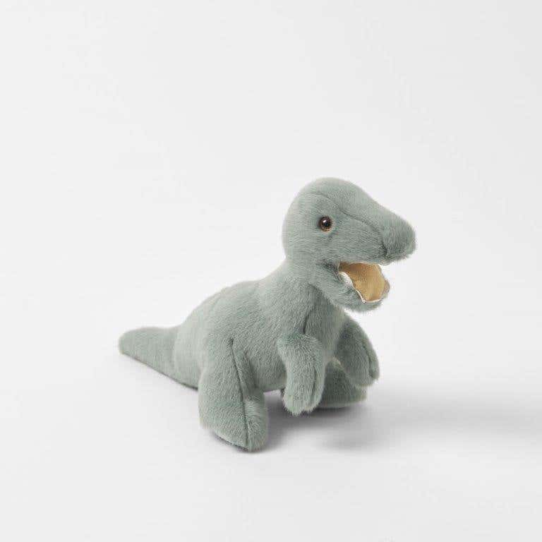 https://s3-ap-southeast-2.amazonaws.com/fusionfactory.commerceconnect.bbnt.production/pim_media/000/059/535/LF-Steve-the-T-Rex-Green-21025801.jpg?1589764730