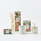 https://s3-ap-southeast-2.amazonaws.com/fusionfactory.commerceconnect.bbnt.production/pim_media/000/061/936/M_F-WL-Lumiere-Fragrances-Jungle-Tropics-206599-R.jpg?1592788058