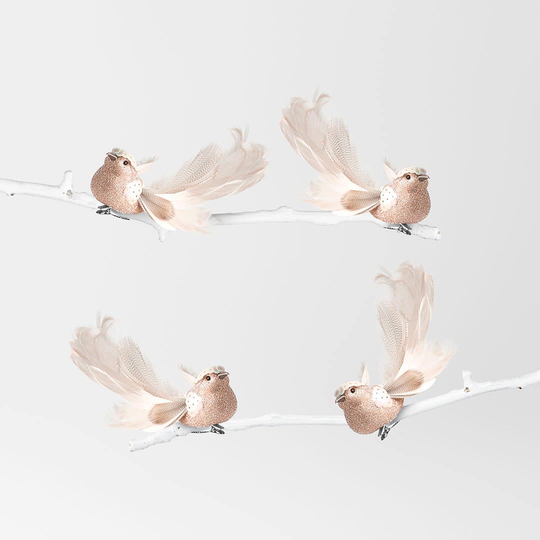 https://s3-ap-southeast-2.amazonaws.com/fusionfactory.commerceconnect.bbnt.production/pim_media/000/153/093/M_F-Xmas-TR-Bird-on-Clip-w-Feather-Sequin-Blush_S4_22171301_SI.jpg?1692769553