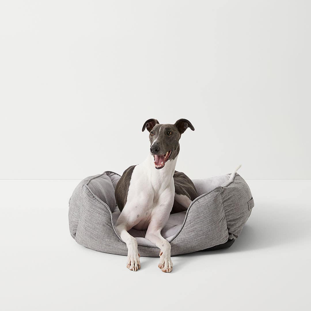 https://s3-ap-southeast-2.amazonaws.com/fusionfactory.commerceconnect.bbnt.production/pim_media/000/147/693/M_F_-_Dogbeds_-_Puppies_-_Studio_19892_SI.jpg?1683073114