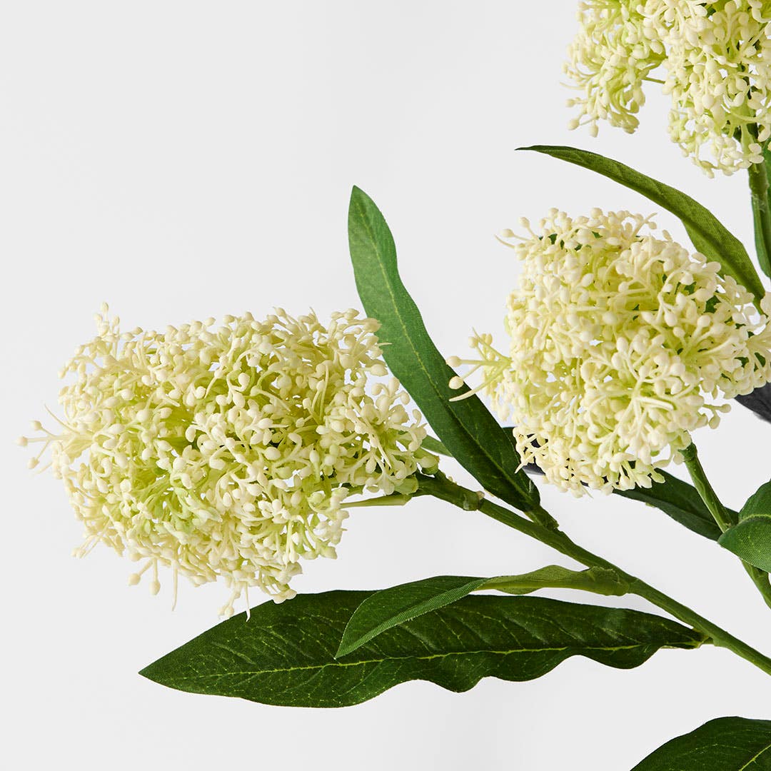 https://s3-ap-southeast-2.amazonaws.com/fusionfactory.commerceconnect.bbnt.production/pim_media/000/181/486/M_F_Amaranth-Stem_White_26132101_Detail_SI.jpg?1734495614