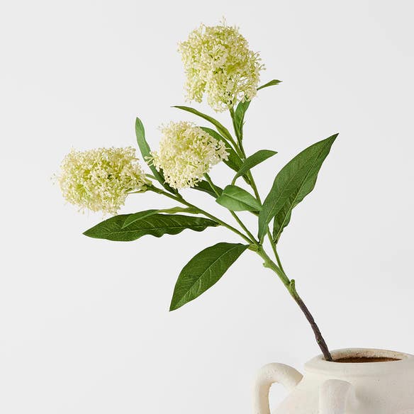 https://s3-ap-southeast-2.amazonaws.com/fusionfactory.commerceconnect.bbnt.production/pim_media/000/181/485/M_F_Amaranth-Stem_White_26132101_SI.jpg?1734495614