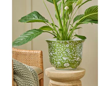 https://s3-ap-southeast-2.amazonaws.com/fusionfactory.commerceconnect.bbnt.production/pim_media/000/180/166/M_F_Chinoiserie-Planter-Lrg_White-Green_Detail_LS_SI.jpg?1733804703