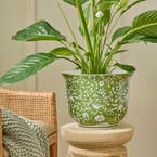 https://s3-ap-southeast-2.amazonaws.com/fusionfactory.commerceconnect.bbnt.production/pim_media/000/180/166/M_F_Chinoiserie-Planter-Lrg_White-Green_Detail_LS_SI.jpg?1733804703