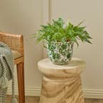 https://s3-ap-southeast-2.amazonaws.com/fusionfactory.commerceconnect.bbnt.production/pim_media/000/180/169/M_F_Chinoiserie-Planter-Sml_Green-White_LS_SI.jpg?1733804789