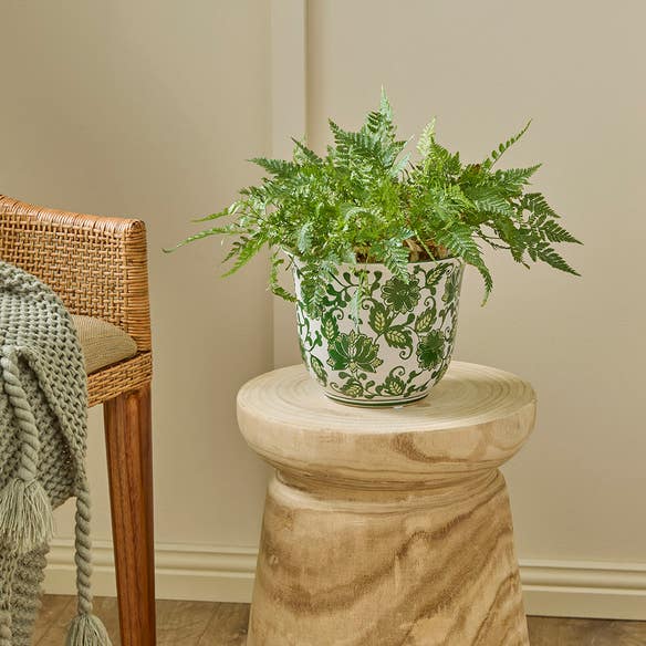 https://s3-ap-southeast-2.amazonaws.com/fusionfactory.commerceconnect.bbnt.production/pim_media/000/180/169/M_F_Chinoiserie-Planter-Sml_Green-White_LS_SI.jpg?1733804789