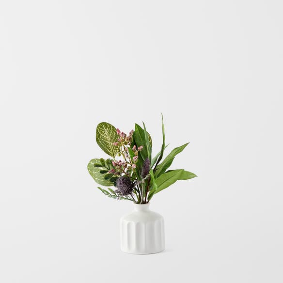 https://s3-ap-southeast-2.amazonaws.com/fusionfactory.commerceconnect.bbnt.production/pim_media/000/152/146/M_F_Cinnamon_Leaf_in_Ceramic_Vase_Green_White_22949801_SI.jpg?1690850233