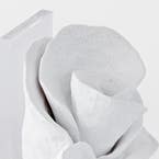 https://s3-ap-southeast-2.amazonaws.com/fusionfactory.commerceconnect.bbnt.production/pim_media/000/190/382/M_F_Coral-Bookend_S2_White_26173601_Detail_SI.jpg?1741039371