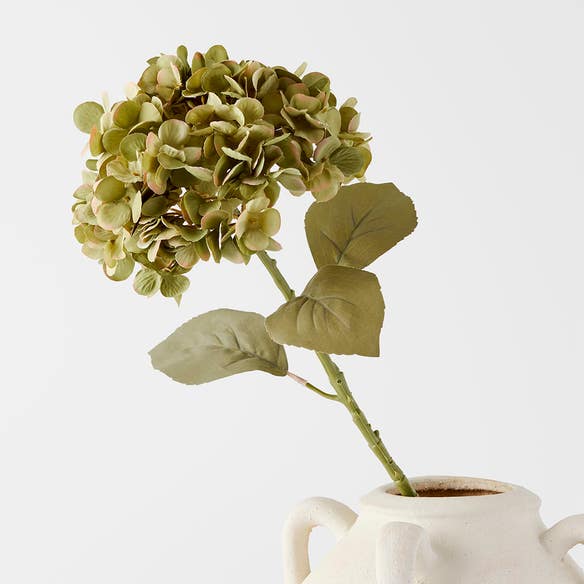 https://s3-ap-southeast-2.amazonaws.com/fusionfactory.commerceconnect.bbnt.production/pim_media/000/183/912/M_F_Hydrangea-Stem_Green_26132501_SI.jpg?1734663855