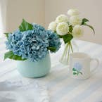 https://s3-ap-southeast-2.amazonaws.com/fusionfactory.commerceconnect.bbnt.production/pim_media/000/193/088/M_F_Hydrangea-in-Ceramic-Pot-Dehlia-in-Glass-Vase_26131601-26131501_LS_SI.jpg?1743986298