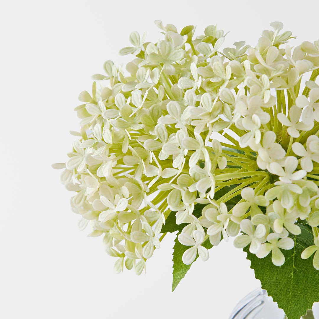 https://s3-ap-southeast-2.amazonaws.com/fusionfactory.commerceconnect.bbnt.production/pim_media/000/183/882/M_F_Hydrangea-in-Glass-Vase_Cream_26131401_Detail_SI.jpg?1734663700