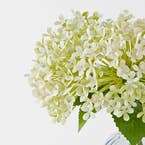 https://s3-ap-southeast-2.amazonaws.com/fusionfactory.commerceconnect.bbnt.production/pim_media/000/183/882/M_F_Hydrangea-in-Glass-Vase_Cream_26131401_Detail_SI.jpg?1734663700