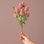 https://s3-ap-southeast-2.amazonaws.com/fusionfactory.commerceconnect.bbnt.production/pim_media/000/160/797/M_F_LS_W24_Decorator_Ruby_Blush_Spray_Pink_02_SI.jpg?1708577944