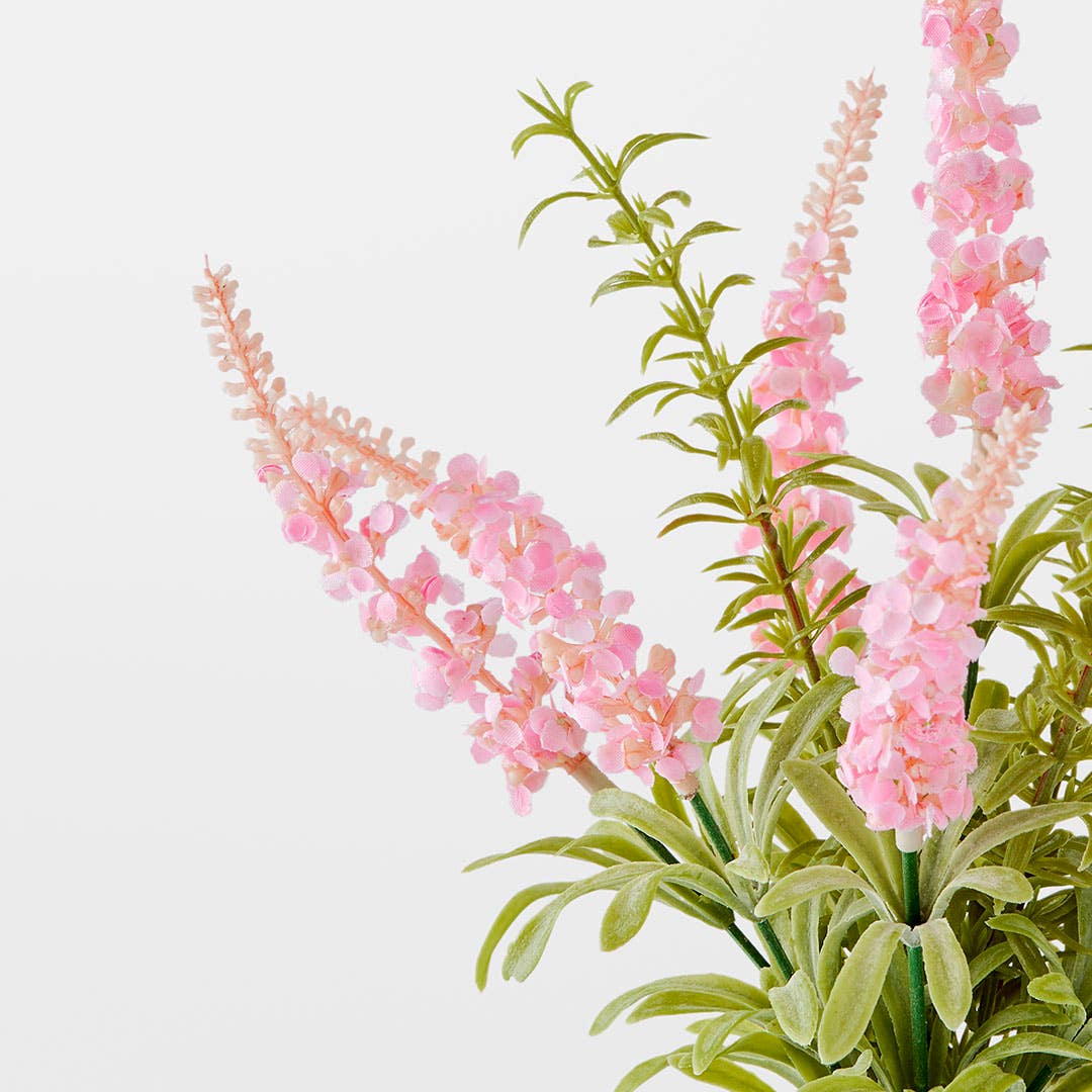 https://s3-ap-southeast-2.amazonaws.com/fusionfactory.commerceconnect.bbnt.production/pim_media/000/191/267/M_F_Lavender-Rosea-in-Glass-Vase_Pink_26131801_Detail_SI.jpg?1742535210