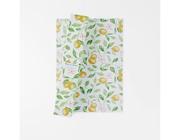 https://s3-ap-southeast-2.amazonaws.com/fusionfactory.commerceconnect.bbnt.production/pim_media/000/169/404/M_F_Limoncello-Drawer-Liners_S6_Lemon-Zest_25883401_SI.jpg?1725600698
