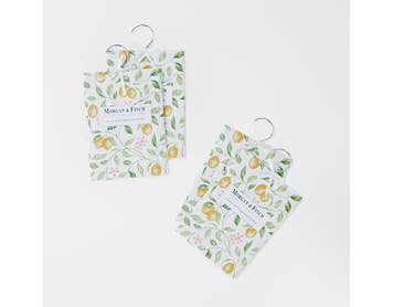 https://s3-ap-southeast-2.amazonaws.com/fusionfactory.commerceconnect.bbnt.production/pim_media/000/169/403/M_F_Limoncello-Hanging-Sachets_S4_Lemon-Zest_25883501_SI.jpg?1725600642