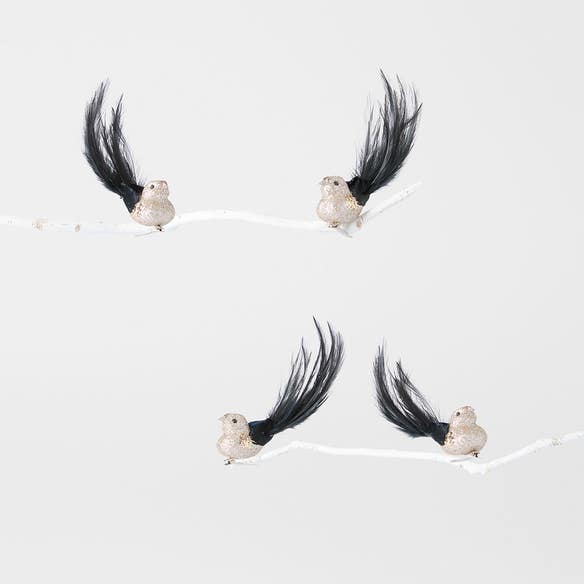 https://s3-ap-southeast-2.amazonaws.com/fusionfactory.commerceconnect.bbnt.production/pim_media/000/196/752/M_F_MR_S4-Bird-on-Clip-w-Black-Tail_26221501_SI.jpg?1751257727