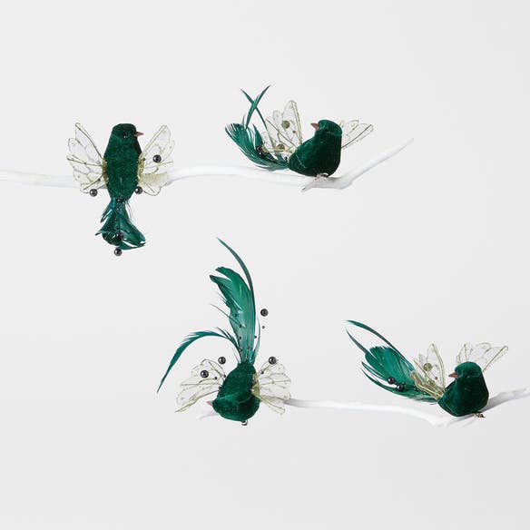 https://s3-ap-southeast-2.amazonaws.com/fusionfactory.commerceconnect.bbnt.production/pim_media/000/196/743/M_F_MR_S4-Velvet-Butterfly-Bird_26220401_SI.jpg?1751256972