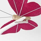 https://s3-ap-southeast-2.amazonaws.com/fusionfactory.commerceconnect.bbnt.production/pim_media/000/197/739/M_F_MR_S4-Velvet-Butterfly-Clips_26220001_Detail_SI.jpg?1752637875