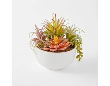 https://s3-ap-southeast-2.amazonaws.com/fusionfactory.commerceconnect.bbnt.production/pim_media/000/155/812/M_F_Mixed-Succulents-In-Pot_Green_20262601_SI.jpg?1699240355