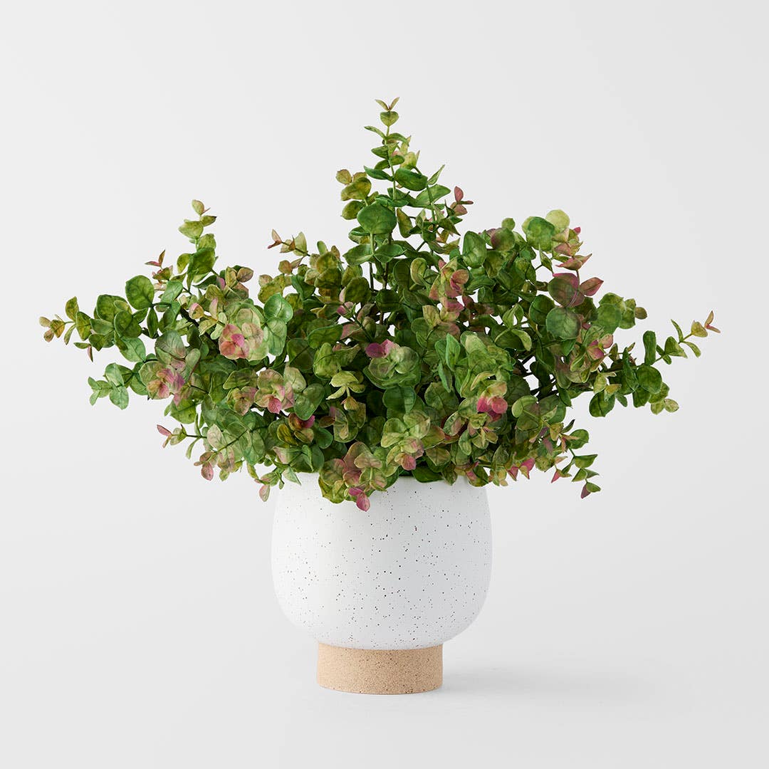 https://s3-ap-southeast-2.amazonaws.com/fusionfactory.commerceconnect.bbnt.production/pim_media/000/184/457/M_F_Money-Leaf-in-Ceramic-Pot_Green_26132201_SI.jpg?1734665967