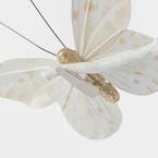 https://s3-ap-southeast-2.amazonaws.com/fusionfactory.commerceconnect.bbnt.production/pim_media/000/197/742/M_F_OP_S4-Butterfly-Clips_26221001_Detail_SI.jpg?1752638003