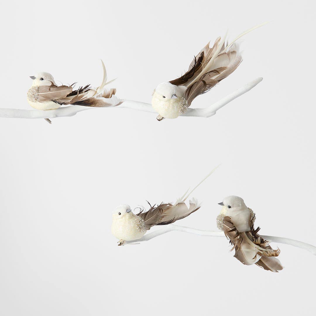 https://s3-ap-southeast-2.amazonaws.com/fusionfactory.commerceconnect.bbnt.production/pim_media/000/196/745/M_F_OP_S4-Feather-Bird-w-Curly-Tail_26220901_01_SI.jpg?1751257062