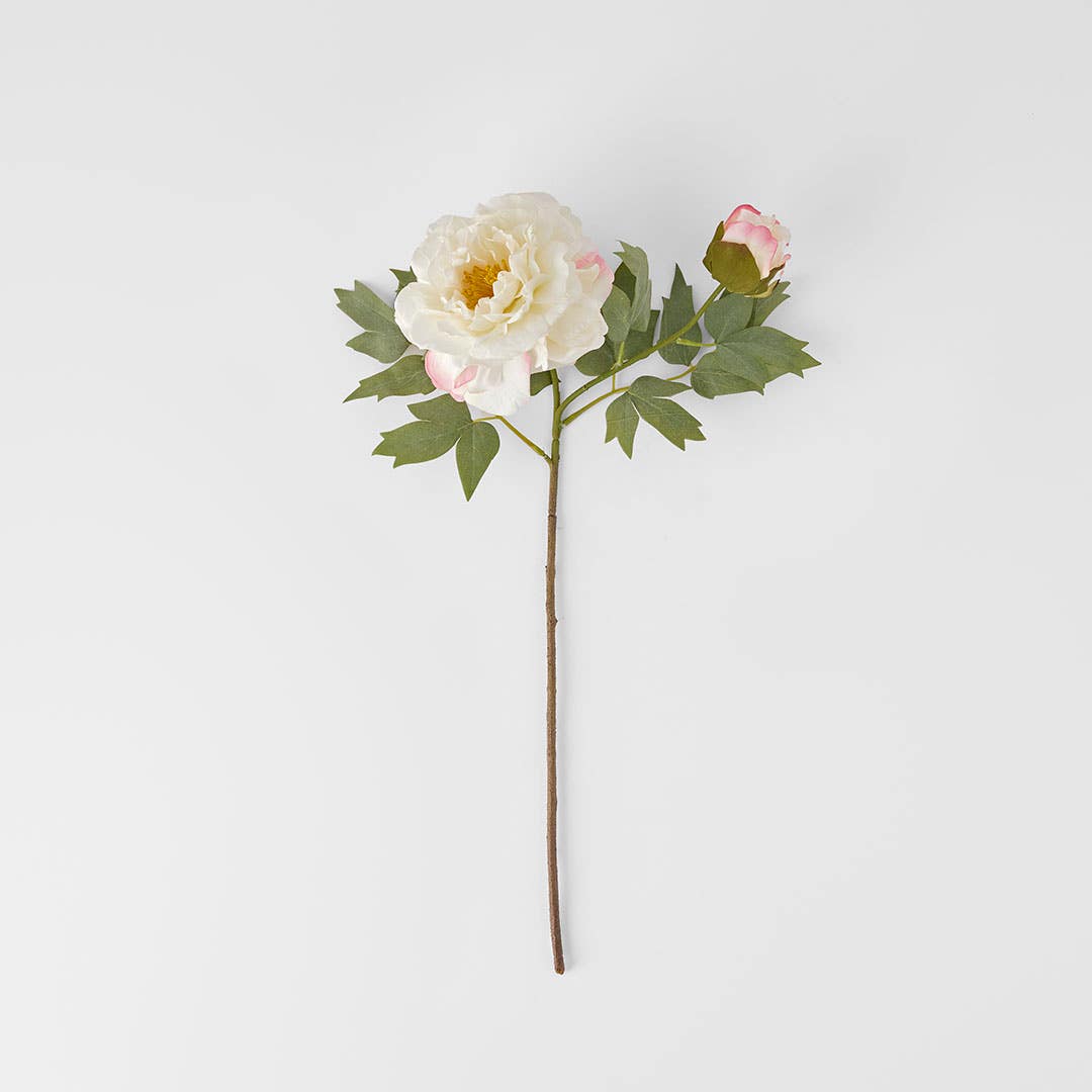 https://s3-ap-southeast-2.amazonaws.com/fusionfactory.commerceconnect.bbnt.production/pim_media/000/185/671/M_F_Peony-Stem_White_26132701_V2_SI.jpg?1735532789