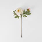 https://s3-ap-southeast-2.amazonaws.com/fusionfactory.commerceconnect.bbnt.production/pim_media/000/185/671/M_F_Peony-Stem_White_26132701_V2_SI.jpg?1735532789