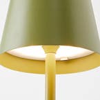 https://s3-ap-southeast-2.amazonaws.com/fusionfactory.commerceconnect.bbnt.production/pim_media/000/166/793/M_F_Ramona-LED-Table-Lamp_Green_23413803_Detail-04_SI.jpg?1721965000