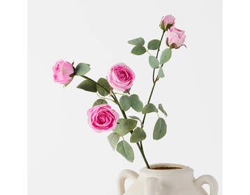 https://s3-ap-southeast-2.amazonaws.com/fusionfactory.commerceconnect.bbnt.production/pim_media/000/184/968/M_F_Rose-Stem_Pink_26132601_SI.jpg?1734668455