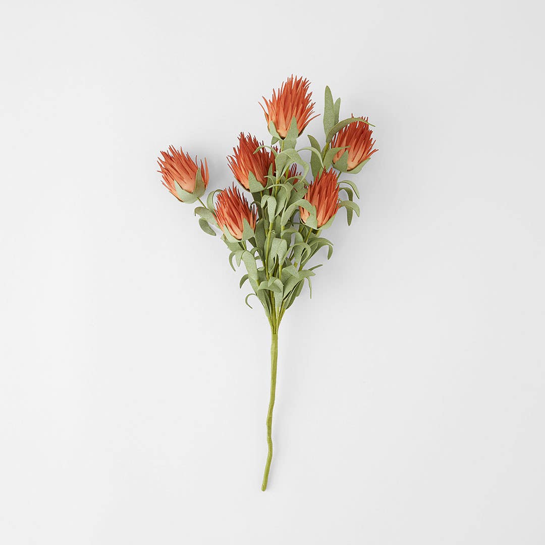 https://s3-ap-southeast-2.amazonaws.com/fusionfactory.commerceconnect.bbnt.production/pim_media/000/160/284/M_F_Ruby-Blush-Spray_Burnt-Orange_23199901_SI.jpg?1707865670