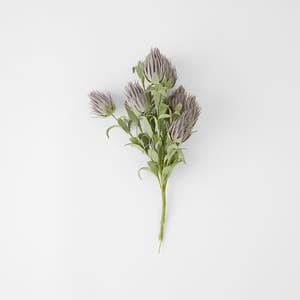 https://s3-ap-southeast-2.amazonaws.com/fusionfactory.commerceconnect.bbnt.production/pim_media/000/160/285/M_F_Ruby-Blush-Spray_Lavender_23199901_SI.jpg?1707865682
