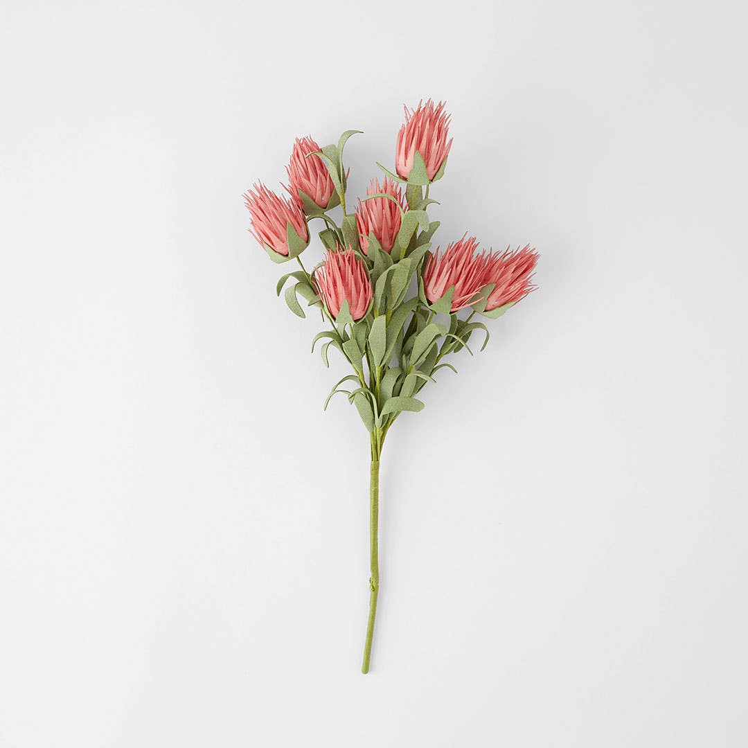 https://s3-ap-southeast-2.amazonaws.com/fusionfactory.commerceconnect.bbnt.production/pim_media/000/160/283/M_F_Ruby-Blush-Spray_Pink_23199901_SI.jpg?1707865651