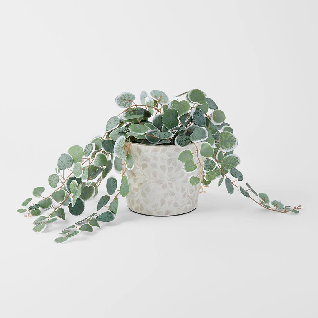 https://s3-ap-southeast-2.amazonaws.com/fusionfactory.commerceconnect.bbnt.production/pim_media/000/202/311/M_F_S25-26_Alice-Inlay-Planter-Lrg_Ivory_26660401_Scale_SI.jpg?1759649547