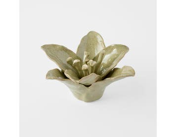 https://s3-ap-southeast-2.amazonaws.com/fusionfactory.commerceconnect.bbnt.production/pim_media/000/202/320/M_F_S25-26_Bloom-Ceramic-Flower-Sculpture_Green_26627601_SI.jpg?1759650140