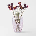 https://s3-ap-southeast-2.amazonaws.com/fusionfactory.commerceconnect.bbnt.production/pim_media/000/201/306/M_F_S25-26_Bonnie-Etched-Glass_Pink_26629702_SCALE_SI.jpg?1758083567