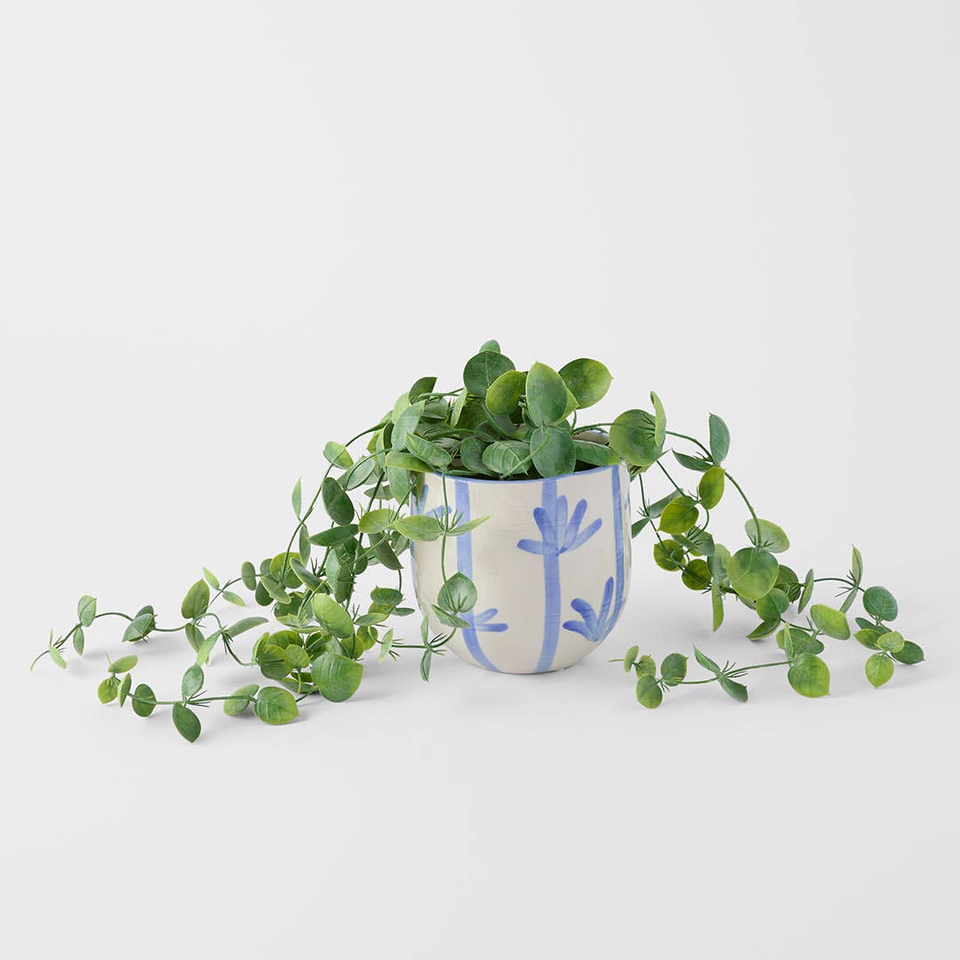 https://s3-ap-southeast-2.amazonaws.com/fusionfactory.commerceconnect.bbnt.production/pim_media/000/202/370/M_F_S25-26_Marra-Ceramic-Planter_Blue-White_26624201_Scale_SI.jpg?1759652408
