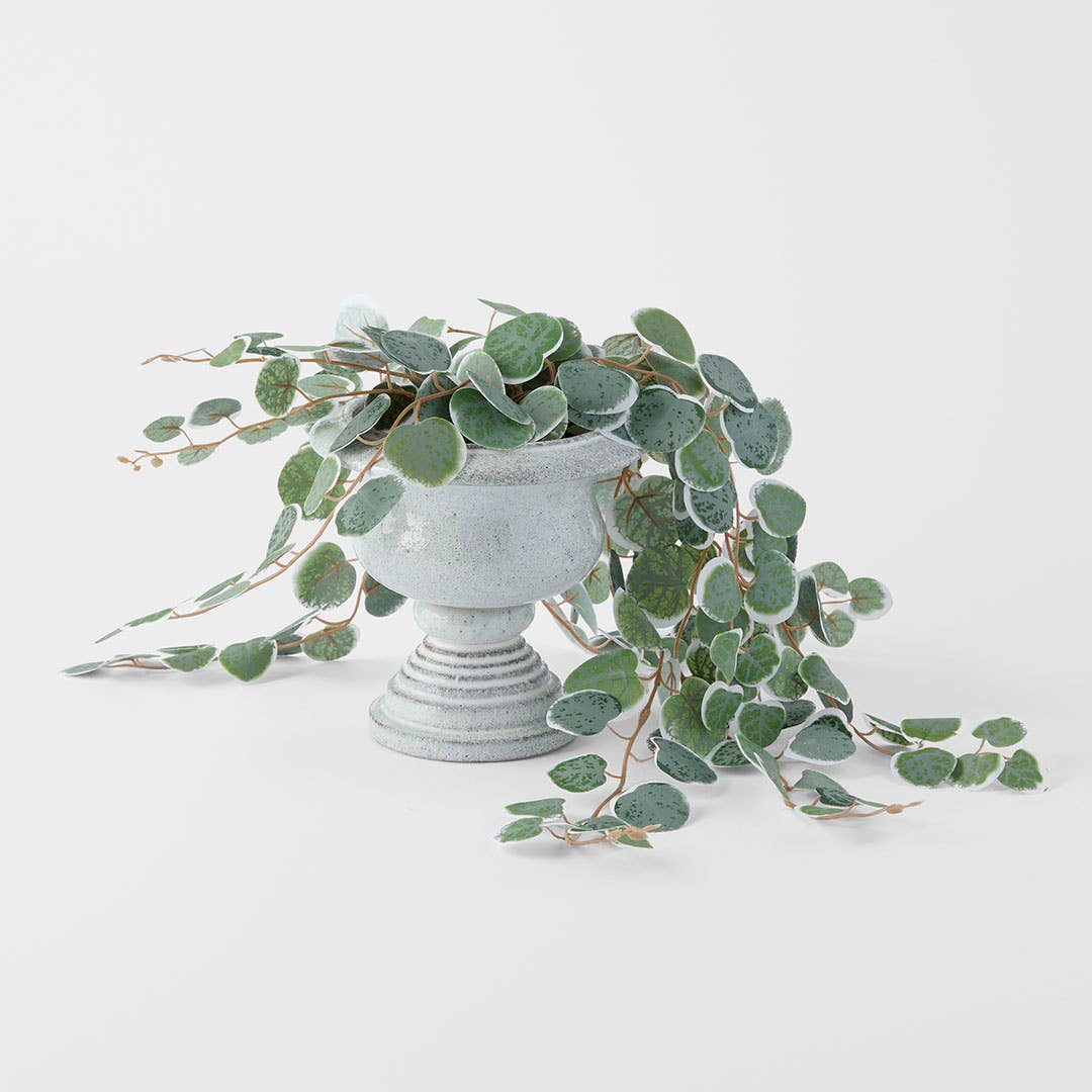 https://s3-ap-southeast-2.amazonaws.com/fusionfactory.commerceconnect.bbnt.production/pim_media/000/202/490/M_F_S25-26_Orano-Footed-Ceramic-Planter-Lrg_Grey_26632101_Scale_SI.jpg?1759727267