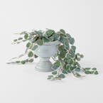 https://s3-ap-southeast-2.amazonaws.com/fusionfactory.commerceconnect.bbnt.production/pim_media/000/202/490/M_F_S25-26_Orano-Footed-Ceramic-Planter-Lrg_Grey_26632101_Scale_SI.jpg?1759727267